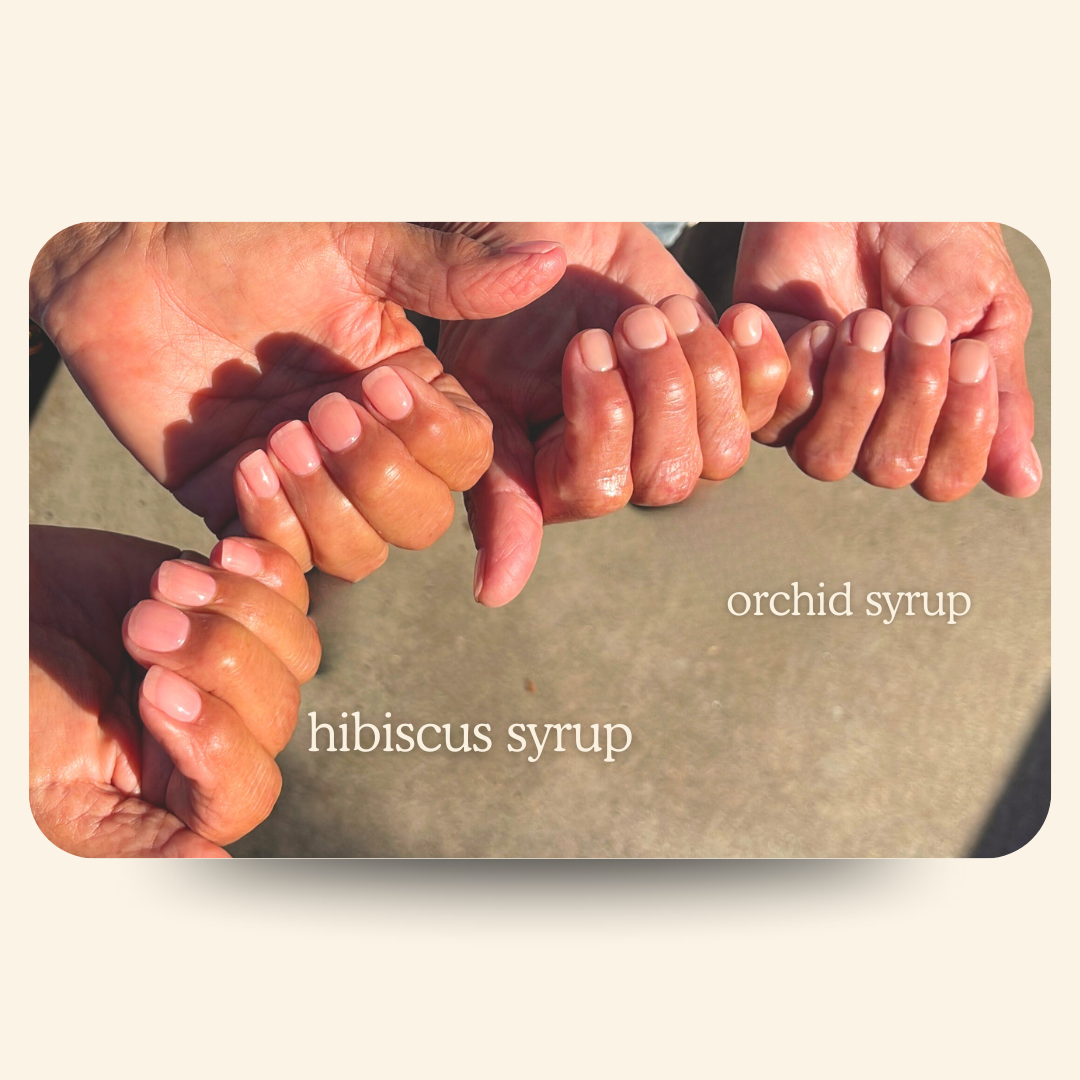 NTB-47 Hibiscus Syrup Base