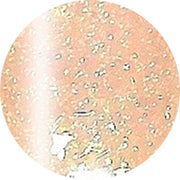 ageha Opti Color #4-14 Almond Frappe [JAR]