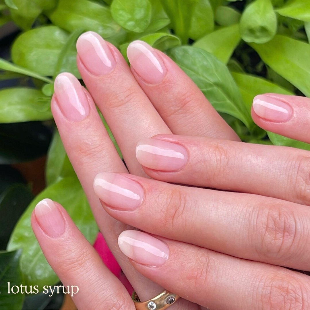 NTB-46 Lotus Syrup Base