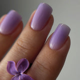 FREESIA