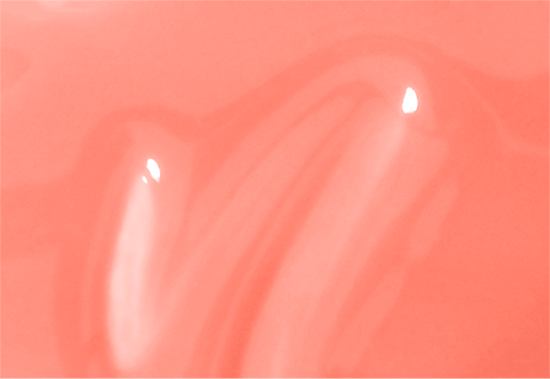 SOLIEL (Pre-Order)