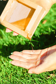 MIKOTO -nourishing oil for face and body- 30ml