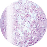 ageha Opti Color #4-06 Berry Sorbet [JAR]