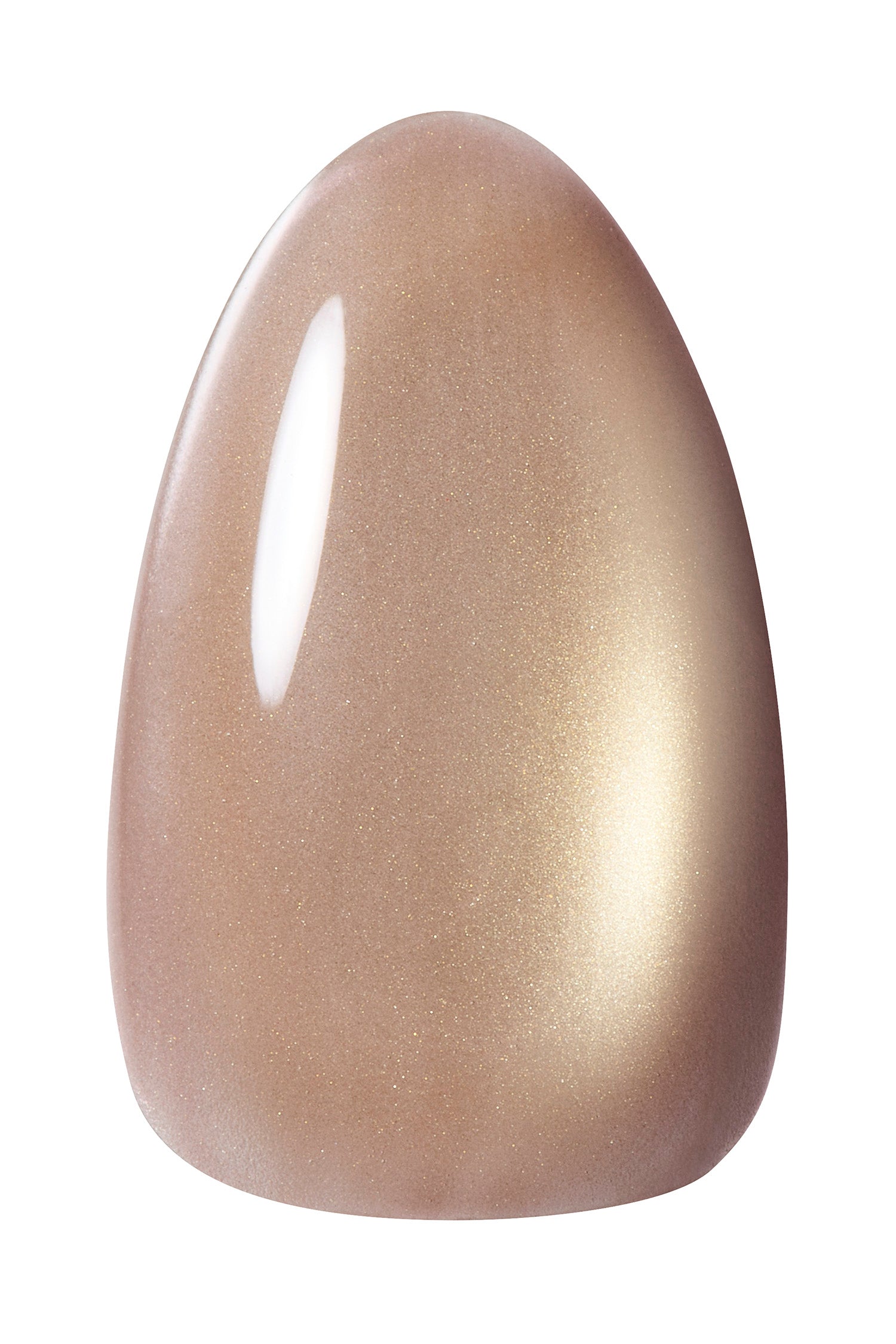 Terra Magnet TM-51 Mushroom Stone / 10ml Bottle