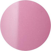 Presto Color Gel #015 [10G] [BOTTLE]