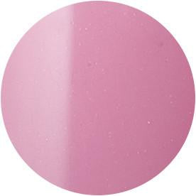 Presto Color Gel #015 [10G] [BOTTLE]