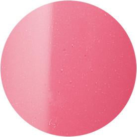 Presto Color Gel #020 [10G] [BOTTLE]