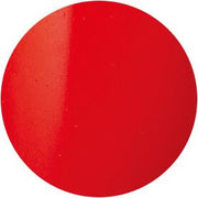 Presto Color Gel #039 [10G] [BOTTLE]