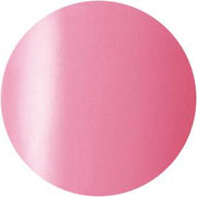 Presto Color Gel #051 [10G] [BOTTLE]