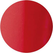 Presto Color Gel #080 [10G] [BOTTLE]