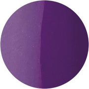 Presto Color Gel #081 [10G] [BOTTLE]