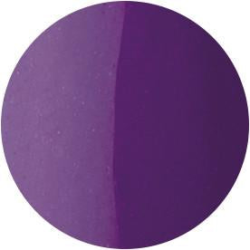 Presto Color Gel #081 [10G] [BOTTLE]