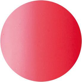 Presto Color Gel #088 [10G] [BOTTLE]