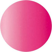 Presto Color Gel #089 [10G] [BOTTLE]