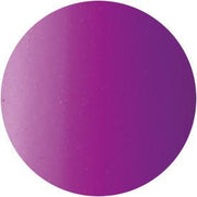 Presto Color Gel #090 [10G] [BOTTLE]