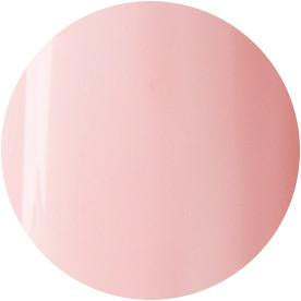 Presto Color Gel #098 [10G] [BOTTLE]