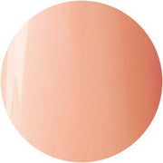 Presto Color Gel #099 [10G] [BOTTLE]