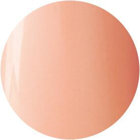 Presto Color Gel #099 [10G] [BOTTLE]