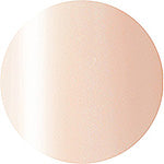 Presto Color Gel #101 [10G] [BOTTLE]