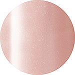 Presto Color Gel #107 [10G] [BOTTLE]