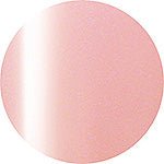 Presto Color Gel #170 [10G] [BOTTLE]