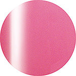 Presto Color Gel #173 [10G] [BOTTLE]