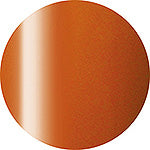 Presto Color Gel #241 [10G] [BOTTLE]