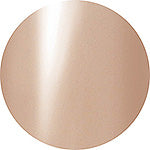 Presto Color Gel J001 [10G] [BOTTLE] (#369)