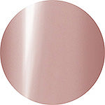 Presto Color Gel JC-06(#374) [10G] [BOTTLE]