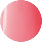 Presto Color Gel #127 [10G] [BOTTLE]