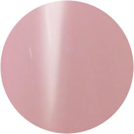 Presto Color Gel #137 [10G] [BOTTLE]