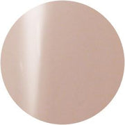 Presto Color Gel #138 [10G] [BOTTLE]