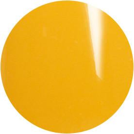 Presto Color Gel #149 [10G] [BOTTLE]