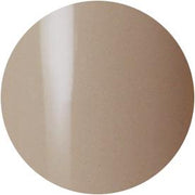 Presto Color Gel #202 [10G] [BOTTLE]