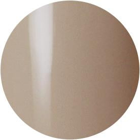 Presto Color Gel #202 [10G] [BOTTLE]