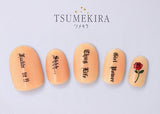 TSUMEKIRA BRITNEY TOKYO PRODUCT 1 NAIL GANG NN-BTK-101