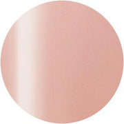 Presto Color Gel #244 [10G] [BOTTLE]