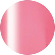 PRESTO COLOR GEL SC-328 [10G] [BOTTLE]