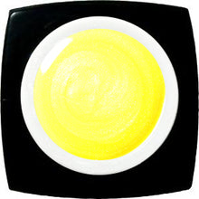 E-157 Passion Balloon Yellow