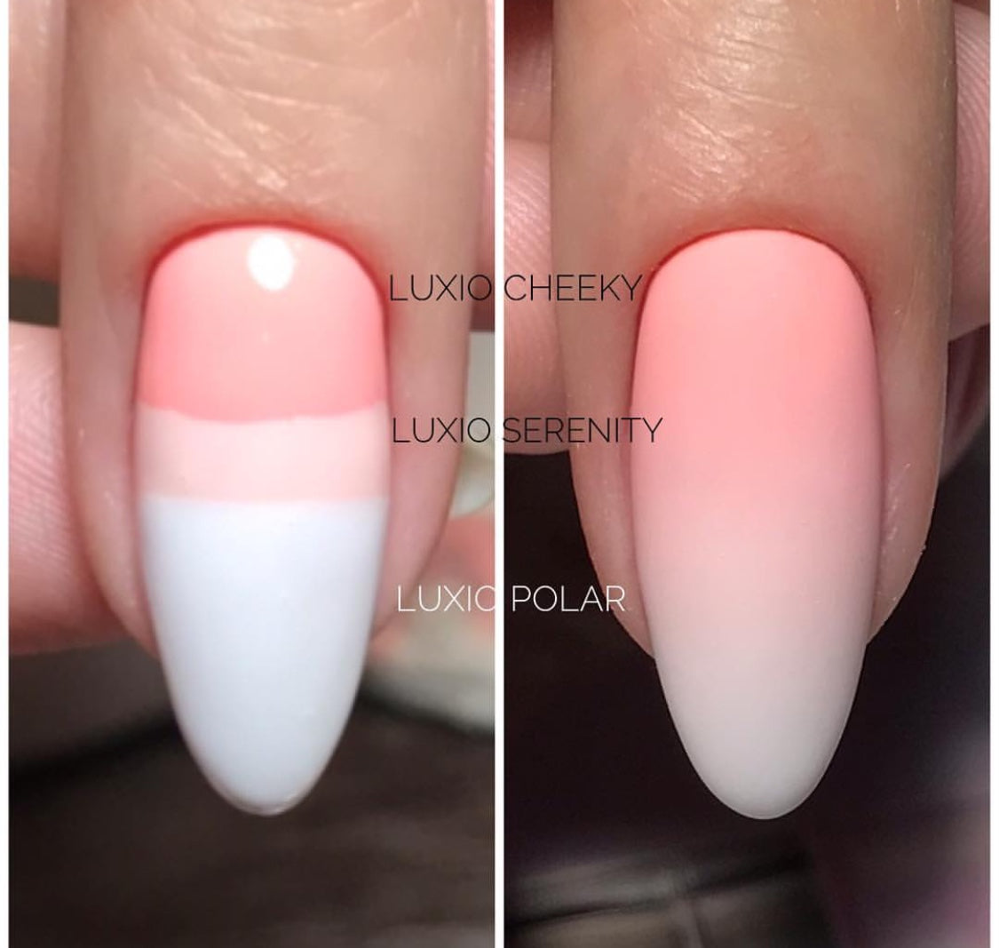 Luxio Certification Class