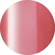 Presto Color Gel JC-71 [10G] [BOTTLE]