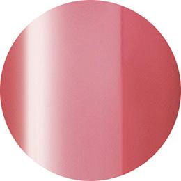 Presto Color Gel JC-71 [10G] [BOTTLE]