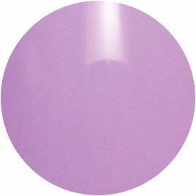 PRESTO COLOR GEL SC-015 [10G] [BOTTLE]