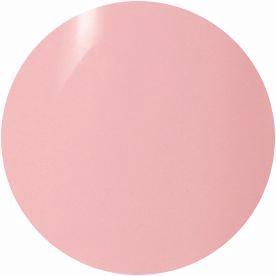 PRESTO COLOR GEL SC-031 [10G] [BOTTLE]