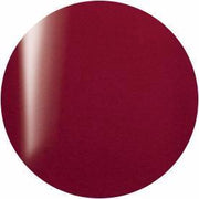 PRESTO COLOR GEL SC-037 [10G] [BOTTLE]