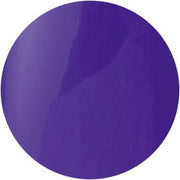 PRESTO COLOR GEL SC-049 [10G] [BOTTLE]