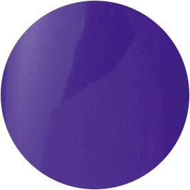 PRESTO COLOR GEL SC-049 [10G] [BOTTLE]