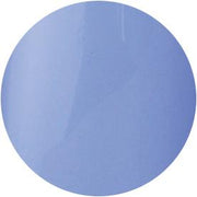 PRESTO COLOR GEL SC-051 [10G] [BOTTLE]