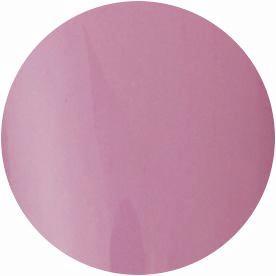 PRESTO COLOR GEL SC-055 [10G] [BOTTLE]