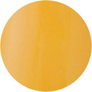 PRESTO COLOR GEL SC-071 [10G] [BOTTLE]